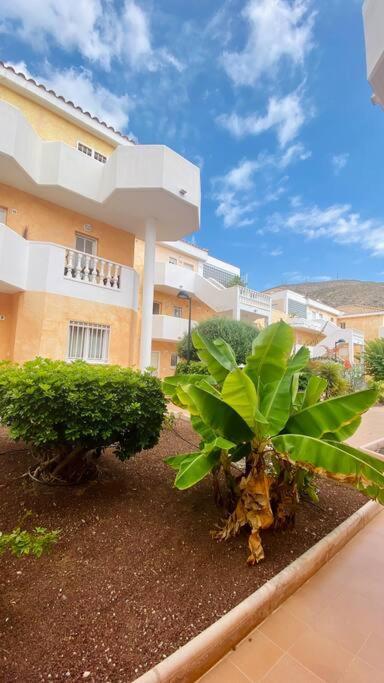 Golden Suite Ocean View & Pool Los Cristianos  Eksteriør bilde